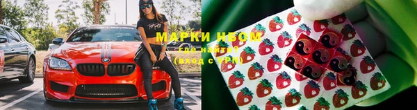 амф Балахна
