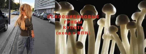 винт Баксан