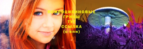 винт Баксан