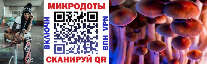 Галлюциногенные грибы мухоморы  Зерноград 